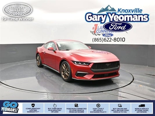 2024 Ford Mustang EcoBoost Premium in Knoxville, TN - Gary Yeomans Ford Knoxville