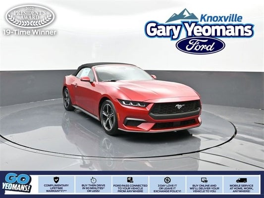 2024 Ford Mustang EcoBoost in Knoxville, TN - Gary Yeomans Ford Knoxville