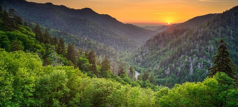 The 4 Coolest Places to Stop On a Drive Through the Smoky Mountains